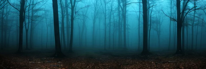 The edge of an eerily dark forest with dry black trees without leaves and creeping fog © artdolgov