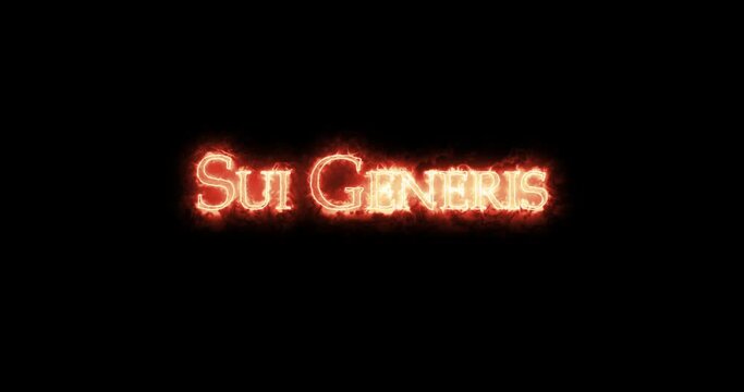 Sui Generis written with fire. Loop
