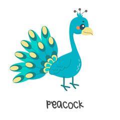 Fototapeta na wymiar Children's illustration, cute peacock, with inscription. vector illustration for teaching children, t-shirt