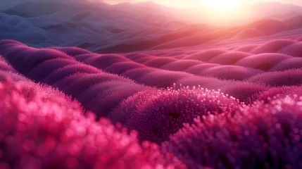 Papier Peint photo Lavable Rose  The sun dips below the horizon, casting a warm glow over rolling hills of purple lavender, creating a picturesque and calming landscape.