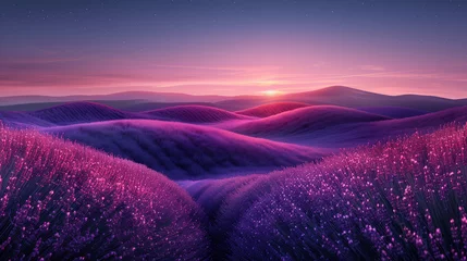 Gartenposter The sun dips below the horizon, casting a warm glow over rolling hills of purple lavender, creating a picturesque and calming landscape. © feeling lucky