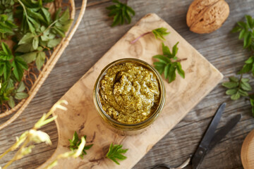 Homemade green pesto made of young goutweed or ground elder leaves - wild edible plant harvested in early spring