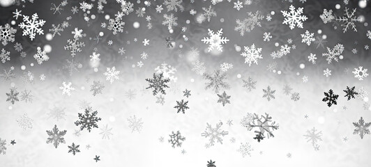 Snow Flakes Falling in Black and White