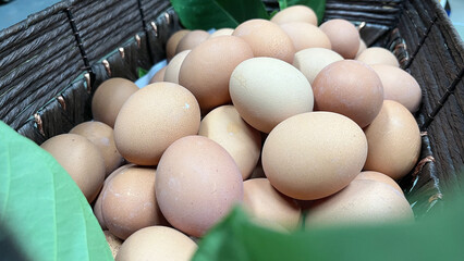 Boiled egg 
