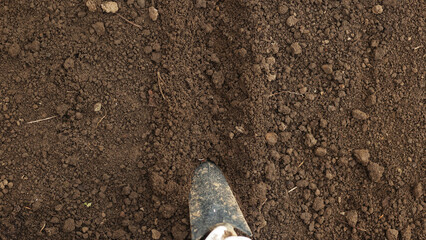 Black soil is ready for seedlings. Brown soil in the homestead. Close-up of land in the garden,...