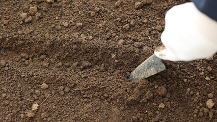 Fototapeta na wymiar Black soil is ready for seedlings. Brown soil in the homestead. Close-up of land in the garden, spring preparation for gardening. Good and clean moist soil in the greenhouse