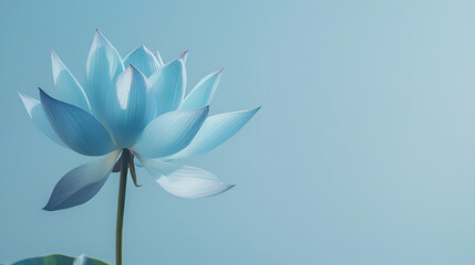 Blue lotus flower on blue background with copy space for text. Beautiful floral frame with space for your own design..