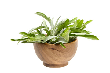 A wooden bowl filled with green sage leaves, isolated on a white background