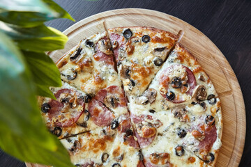 An appetizing pepperoni and mushroom pizza with olives and melted cheese on a wooden board, garnished with a green leaf