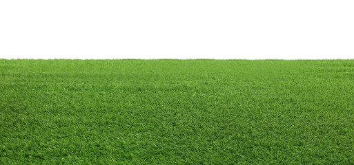 Meadow with bright green grass on white background, banner design - Powered by Adobe