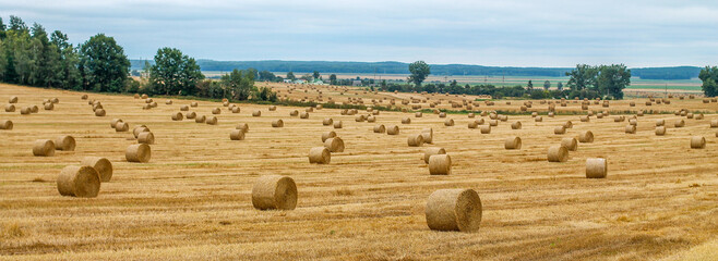 Straw. Straw bales. Reaping. Autumn