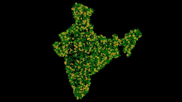 Indian map with yellow daisy flowers and green leaves on plain black background