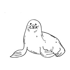 Fur seal in doodle style isolated on background.Hand drawn sea lion or seal.Front view.Vector illustration.