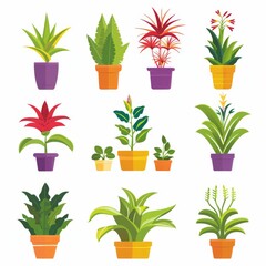 Fototapeta na wymiar Bromeliad (Bromeliaceae genera) Pot Plant Icon Set, Bromeliaceae genera Plant Flat Design