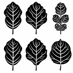 Fiddle Leaf Fig (Ficus Lyrata) Pot Plant Icon Set, Ficus Lyrata Plant Flat Design, Fiddle Leaf Fig Symbol