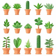 Fototapeta premium Jade plant (Crassula ovata) Pot Plant Icon Set, Crassula ovata Plant Flat Design, Jade plant Symbols