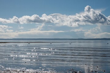 gentle waves lapping on the beach at Hill Head Hampshire England on a bright spring day with blue sky and The Isle of Wight in the background