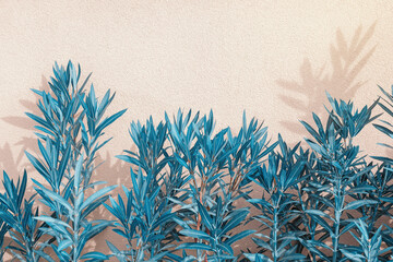 Blue flora. Beautiful decorative background with leaves of oleander tree. Space for text