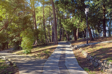 Walkways in park on sunny day. Montenegro, Tivat city. View of  Large Town Park ( Veliki Gradski Park  )