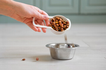 Pet Food pouring. Balanced dog food. Owner female hand is pour dry cat food into a steel gray cat...