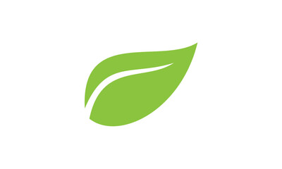 green leaf icon