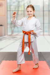 Young karate girl with orange belt posing - 756475699