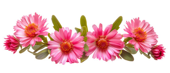 Row of pink flowers with green leaves, Cut out