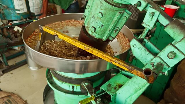 Industrial grinder processing materials with metal scoop assistance extracting oil from seeds