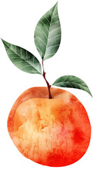 leuchtender Pfirsich mit Blätter Illustration