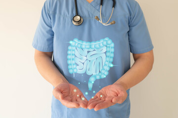 Healthy intestine anatomy on doctor hands. Concept of healthy bowel digestion, colon cancer...