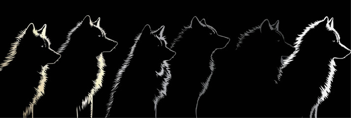 Outlined vectorized illustration of a wolf, capturing the essence of wildlife
