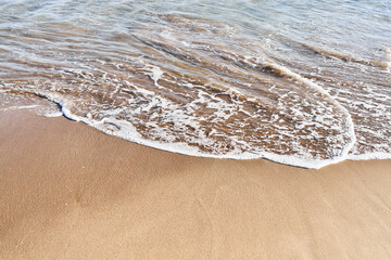 Gentle waves wash over golden sand in a tranquil, sunny beach setting with no people present.