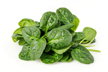 Fototapeta premium A bunch of fresh spinach leaves isolated on white background