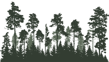 Beautiful landscape, silhouette of coniferous trees, forest. Vector illustration