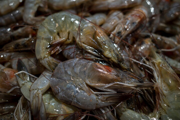 Udang, fresh shrimp, Littopenaeus vannamei, on the ice in the supermarket in Yogyakarta, Indonesia