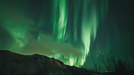 The Northern Lights, or Aurora Borealis, are captivating displays of colorful lights in the polar skies, caused by solar particles interacting with Earth's atmosphere.