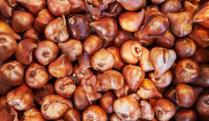 A close-up view of fresh, organic bulbs of garlic piled together at a market.