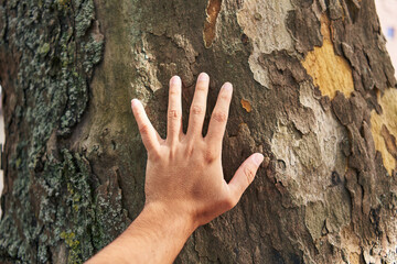 A man's hand gently touching the rough texture of a tree bark in a natural outdoor setting.