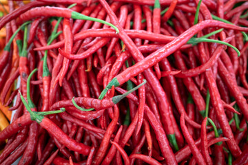 Hot red chili pepper for cooking, shallow focus