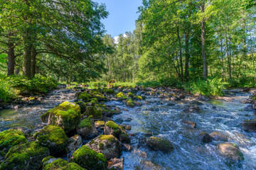 Scenic view of a creek with water flowing among moss covered rocks