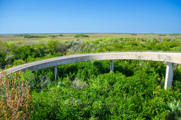 Fototapeta na wymiar Access ramp to an observation tower in a part of the Everglades called Shark Valley