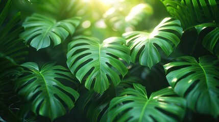 Green tropical leaves, exotic background. Generative AI