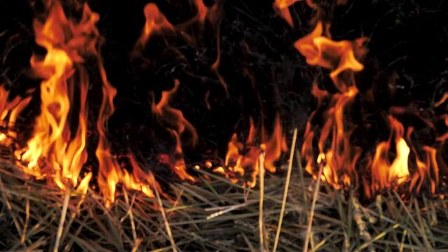 Burning hay and straw in a field, fire close-up, flames rise up, Slow motion