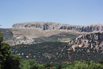 landscape with trees and mountains