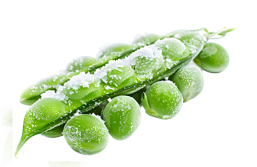 Frosty green pea pod with snowflakes. Frozen green peas isolated on transparent background. Food design element for ads, wed site. Green pea pod dusted with snow and ice flakes, no background