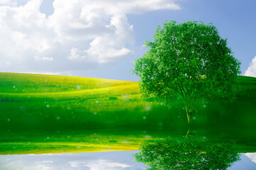 calm river and alone tree on green hill and blue sky background