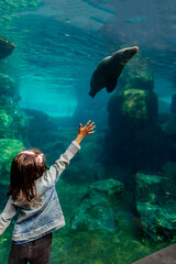 child in the aquarium - Galápagos Island experience in Houston Zoo, Texas, USA