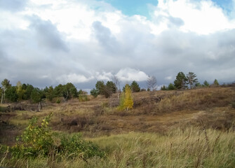 Fototapeta premium Autumn landscape with a small lonely birch tree.
