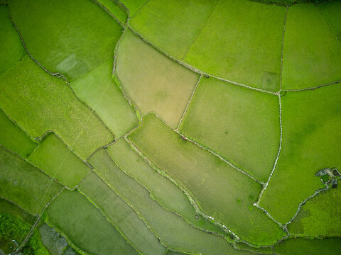 vistas panor&aacute;micas de terrazas de arroz en Ducligan, Filipinas
