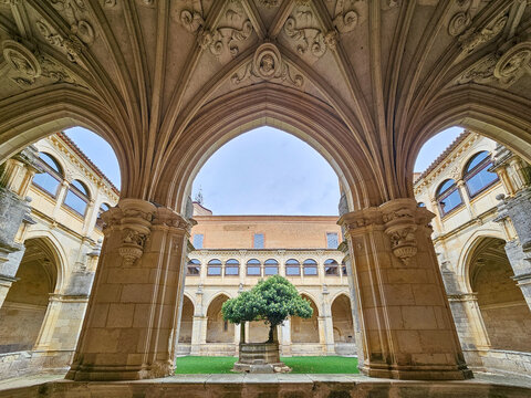 Cloister of the Royal Monastery of San Zoilo in Carrion de los Condes, province of Palencia